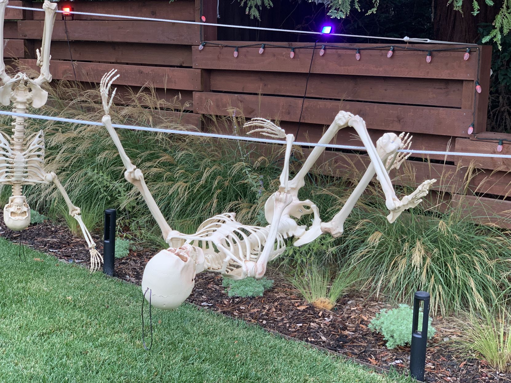 Skeletons take over Napa house for Halloween